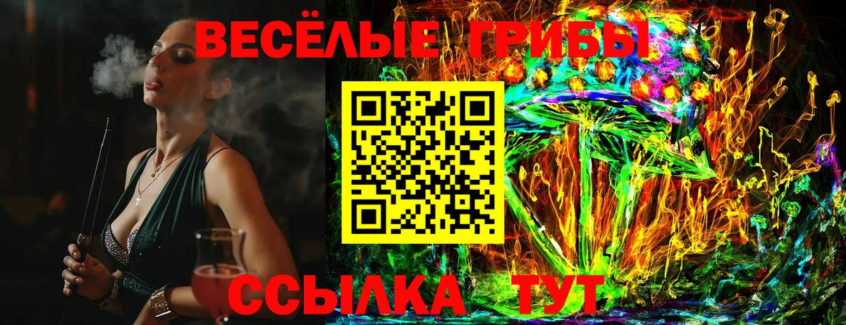 Псилоцибиновые грибы Psilocybe Муравленко