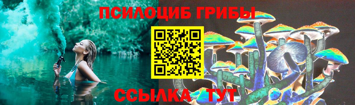Галлюциногенные грибы Psilocybine cubensis  Вход с VPN  Муравленко 